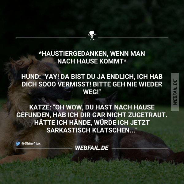 Gleich klatscht et, aber kein Beifall! Webfail Fail Bilder und Fail
