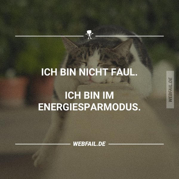 Ich bin nicht faul! Webfail Fail Bilder und Fail Videos