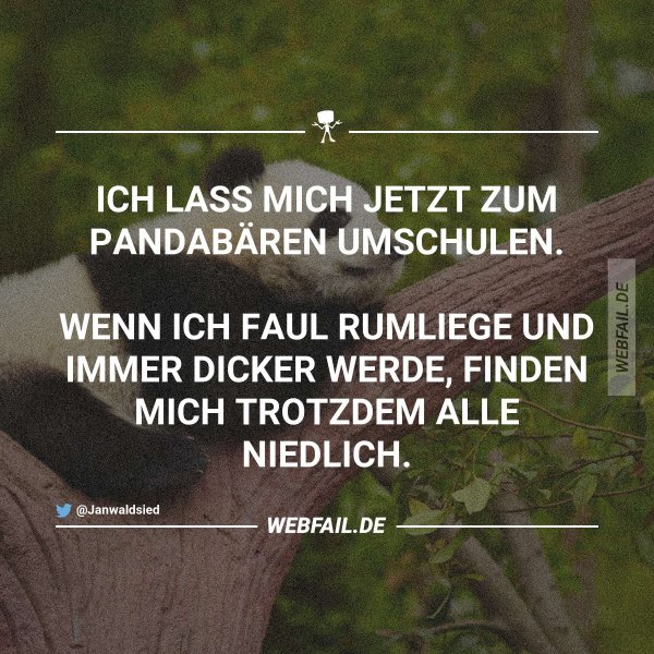 Das ist ein guter Plan! Webfail Fail Bilder und Fail Videos