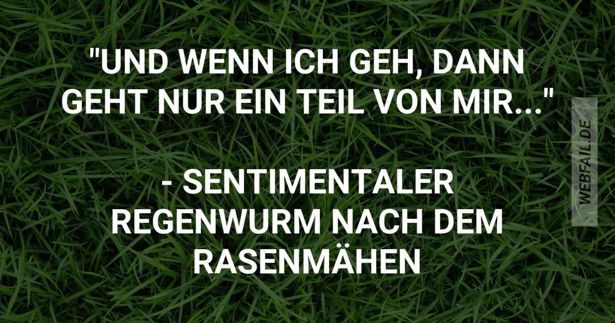 Hörst du die Regenwürmer singen? Webfail Fail Bilder und Fail Videos Hörst du die Regenwürmer singen? Webfail Fail Bilder und Fail Videos