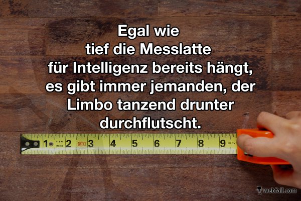 Limbo Cool, Limbo Fine, Everybody Gets a Chance - Fun Bild ...
