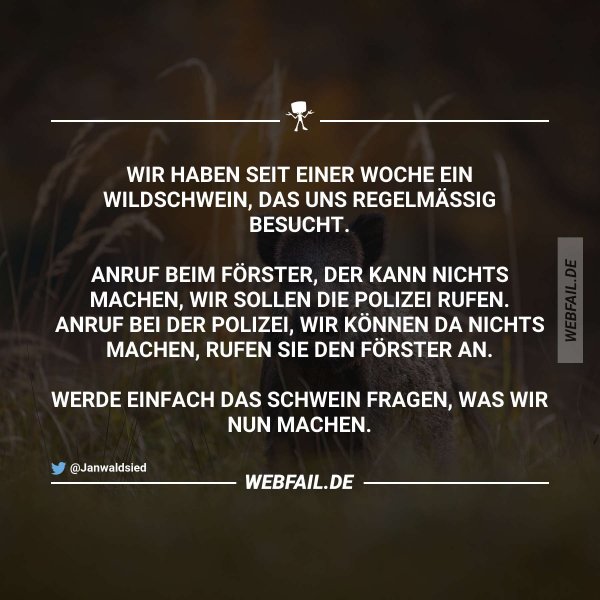 Ich glaub mein Schwein pfeift Webfail Fail Bilder und Fail Videos Ich glaub mein Schwein pfeift Webfail Fail Bilder und Fail Videos