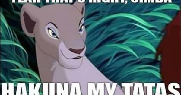 Yeah, that's right Simba - Meme Picture | Webfail - Fail Pictures and