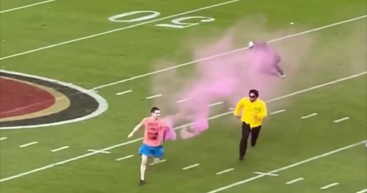 Football Linebacker Tackles Fan With A Smoke Flare fail Fail