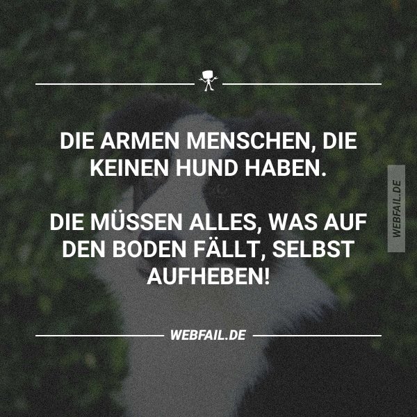 Lustige Bilder Webfail Fail Bilder und Fail Videos